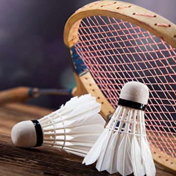 12 Stück Badminton Bälle, Gänsefeder Badminton Federbälle Shuttle Mit hoher Stabilität und Haltbarkeit Gänsefedern Federball Shuttlecocks Indoor Outdoor Sport Training Badmintonbälle - 6